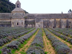 Sénanque Abbey