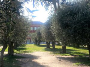 Matisse’s villa, Nice